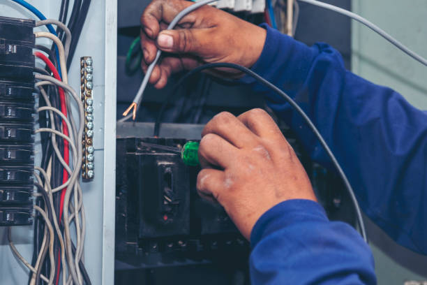Best Electrical System Inspection  in Mount Pleasant, SC